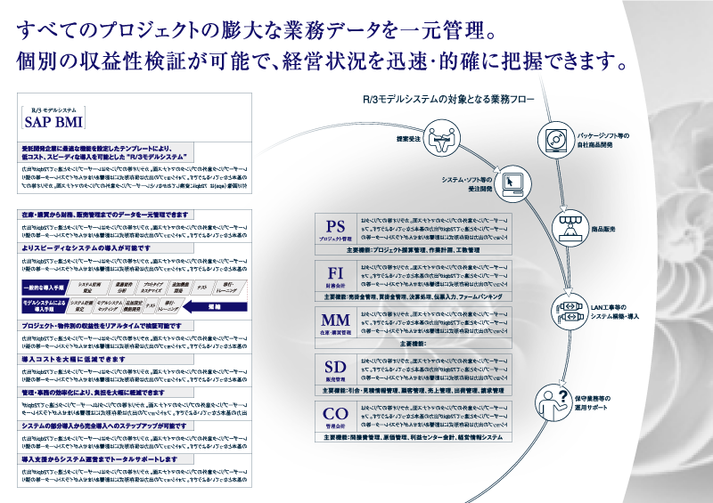 NTTデータ　SAP　A4製品パンフレット　中面見開き　プレゼン案