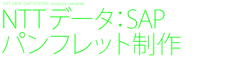 デザイン制作　パンフレット　NTTデータ　SAPコンピュータシステム　A4パンフ4ページ　Black design